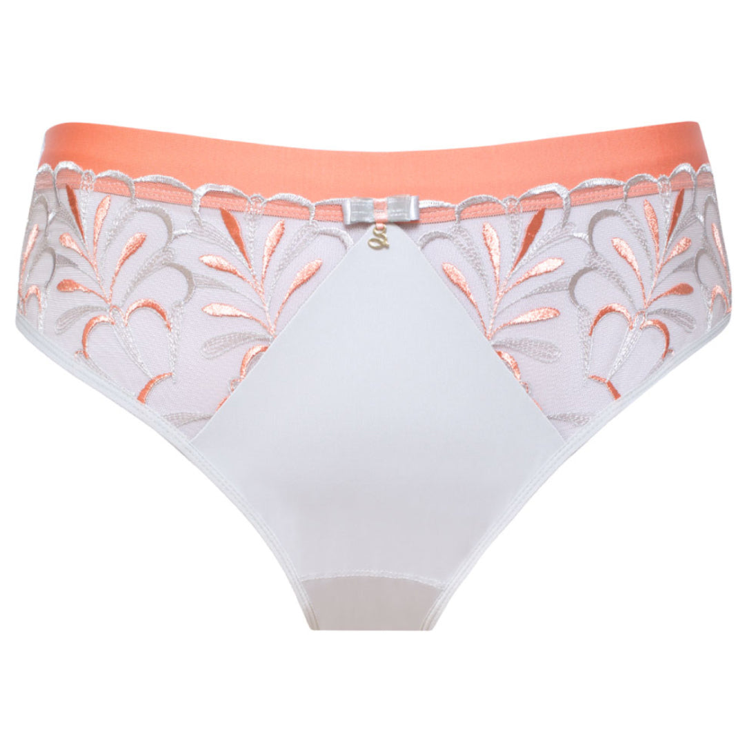 Samanta Sweet Gray Sheer Mesh Tulle Embroidered Brief Panty-2