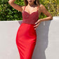 Ladivine Amoris T9002 Long Fitted Embellished Bodice Formal Gown