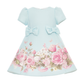 Bluebell Baby Dress-1