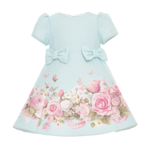 Bluebell Baby Dress-1
