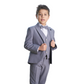 Regal Young Boys Formal Suit - Farnelli
