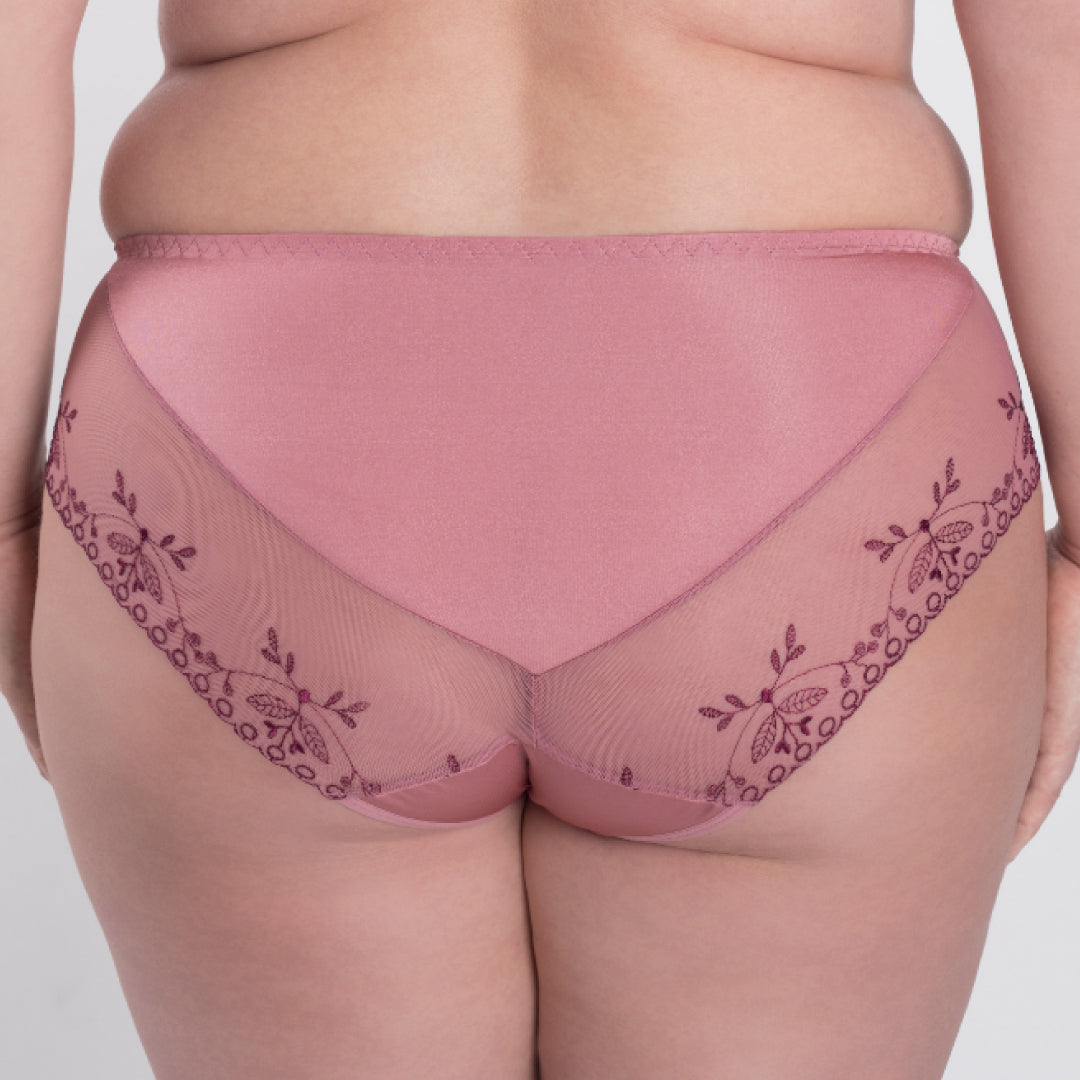 Samanta Viola Rose Sheer Mesh Tulle Embroidered Brief Panty-1