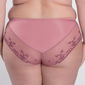 Samanta Viola Rose Sheer Mesh Tulle Embroidered Brief Panty-1
