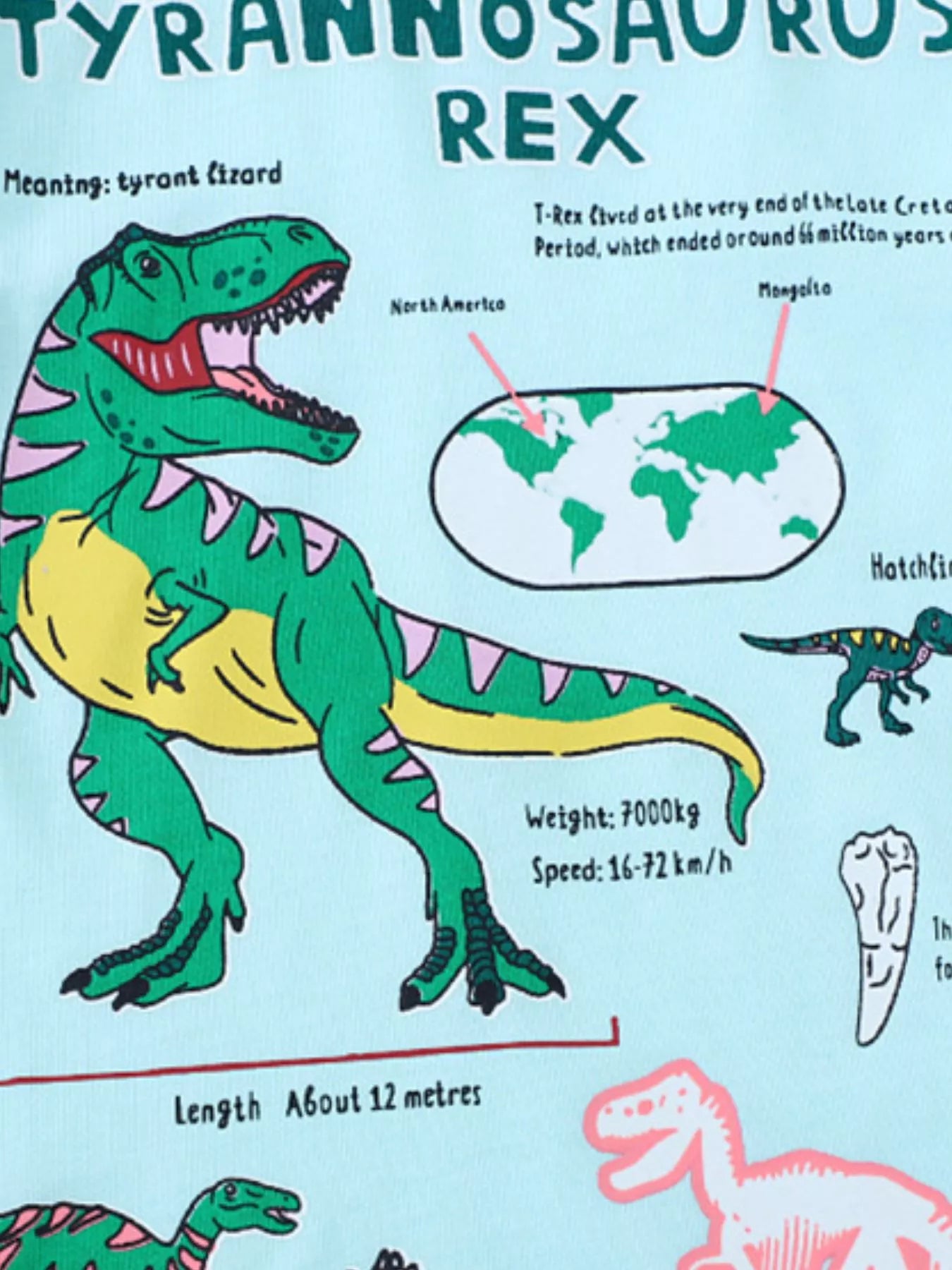 Children's Dinosaur Graphic Short Sleeve T-Shirt - Farnelli