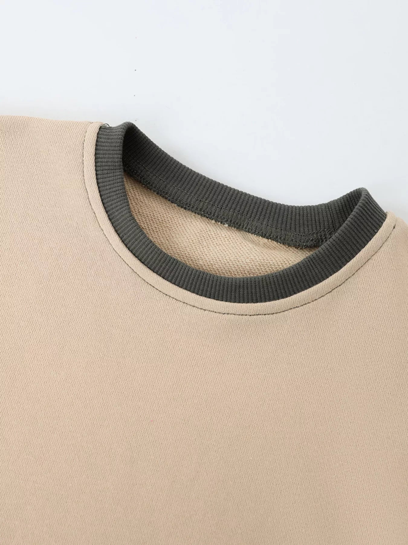 Children's Dinosaur Crew Neck Sweatshirt - Farnelli