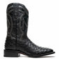 Alabama Black