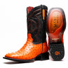 Alabama Orange - Orange