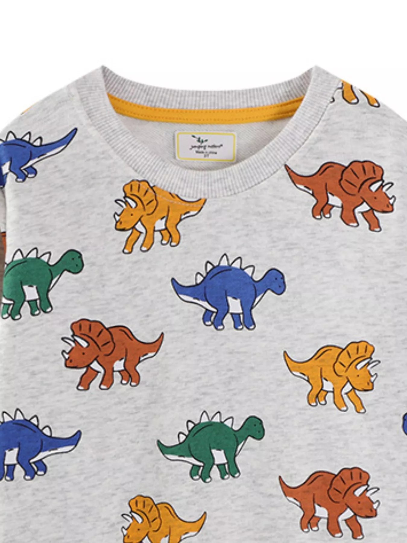 Children's Dinosaur Print Crew Neck Sweatshirt - Farnelli