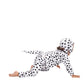 Dalmatian Costume