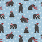 Bear Christmas Bamboo Baby Pajamas – Zipper Footie