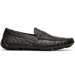 Bolonia Black