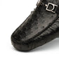 Bolonia Black
