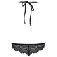 Axami Bon Bon Sheer Lace Triangle Bra-3