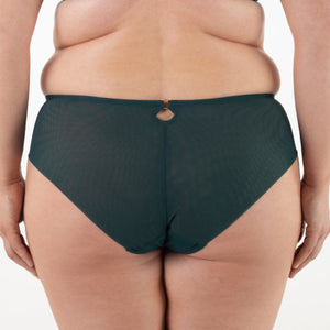 Samanta Boobie Emerald Sheer Mesh Tulle Embroidered Brief Panty-1