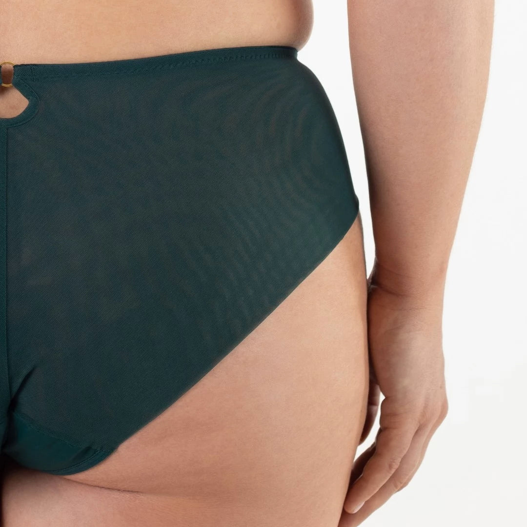 Samanta Boobie Emerald Sheer Mesh Tulle Embroidered Brief Panty-4