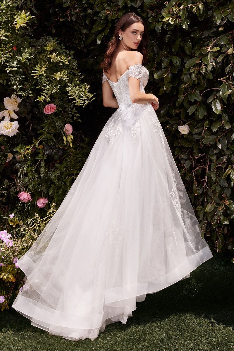 Off The Shoulder A-Line Lace & Tulle Wedding Dress - Farnelli