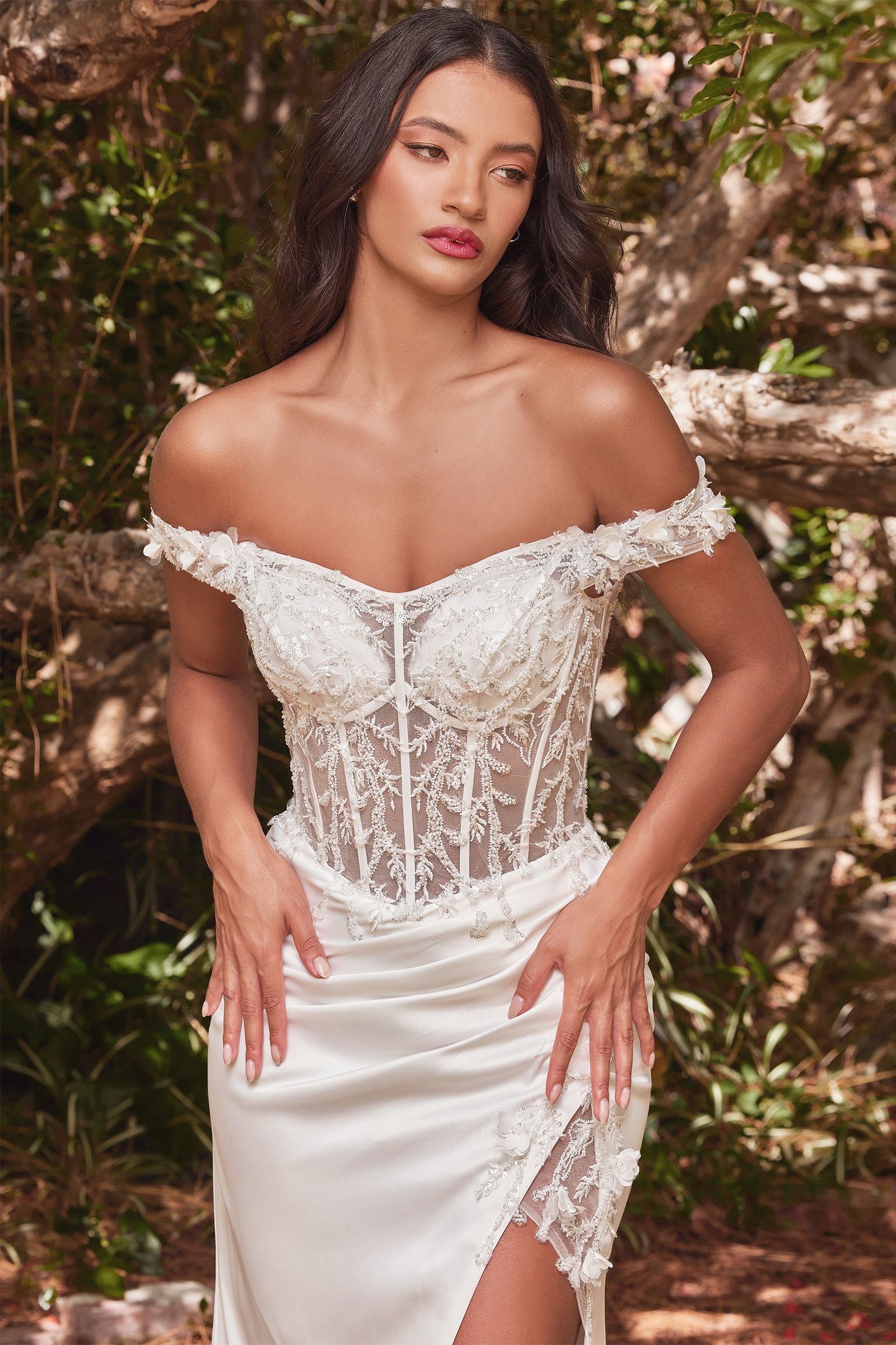 Off The Shoulder Lace Bodice Fitted Gown - Farnelli