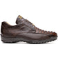 Crater Brown