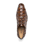 Olivieri Clear Brown
