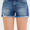 RISEN Full Size Low Rise Frayed Denim Shorts Plus Size - DARK