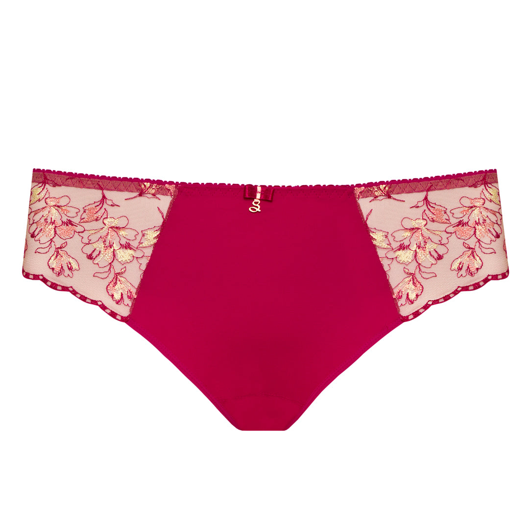 Samanta Daniela Red Sheer Mesh Tulle Embroidered Bikini Panty-4