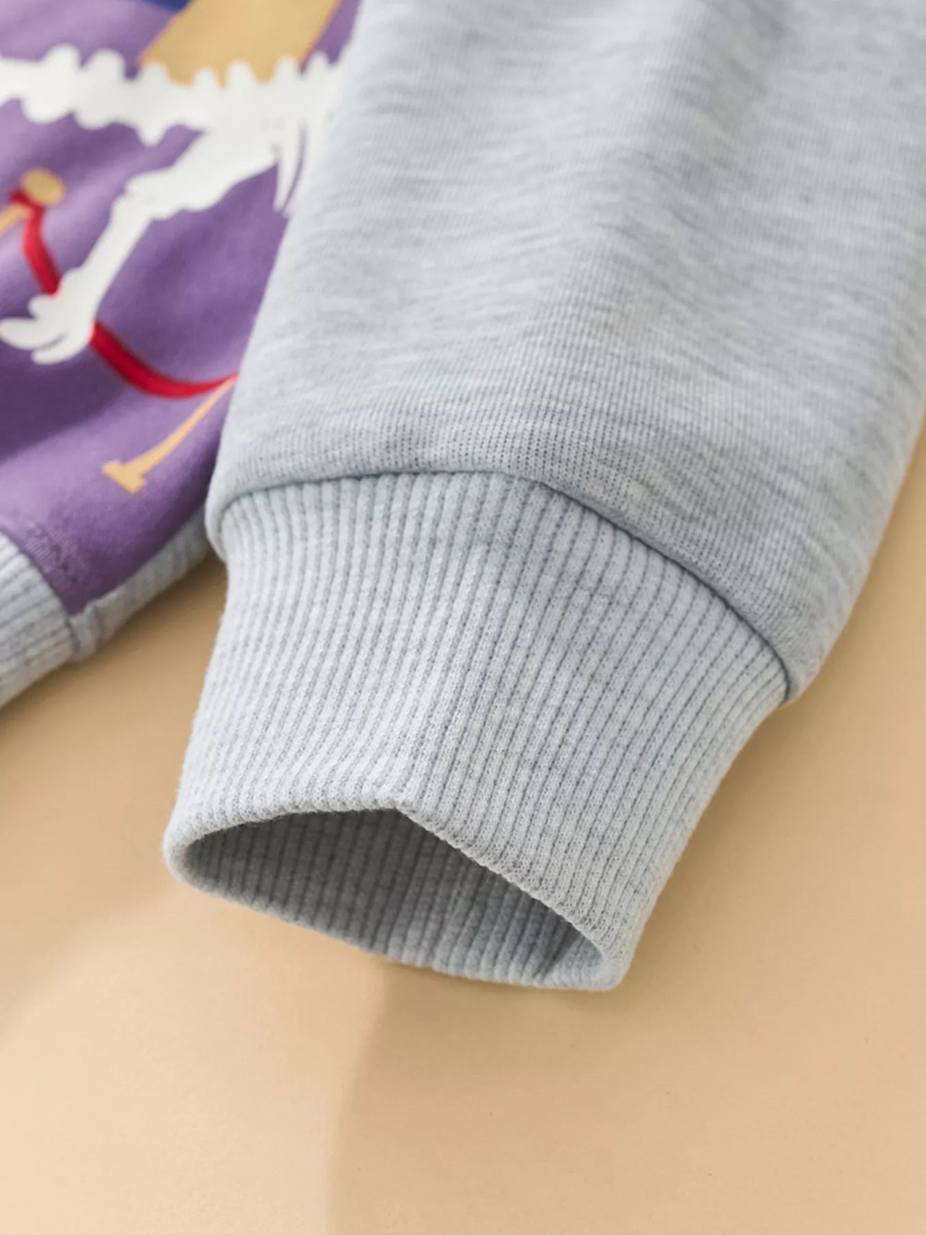 Children's Dinosaur Museum Graphic Crew Neck Sweatshirt - Farnelli