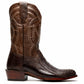Denver Clear Brown
