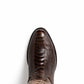 Denver Clear Brown
