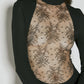 Dolce & Gabbana Women Chantilly Lace Insert Jersey Dress