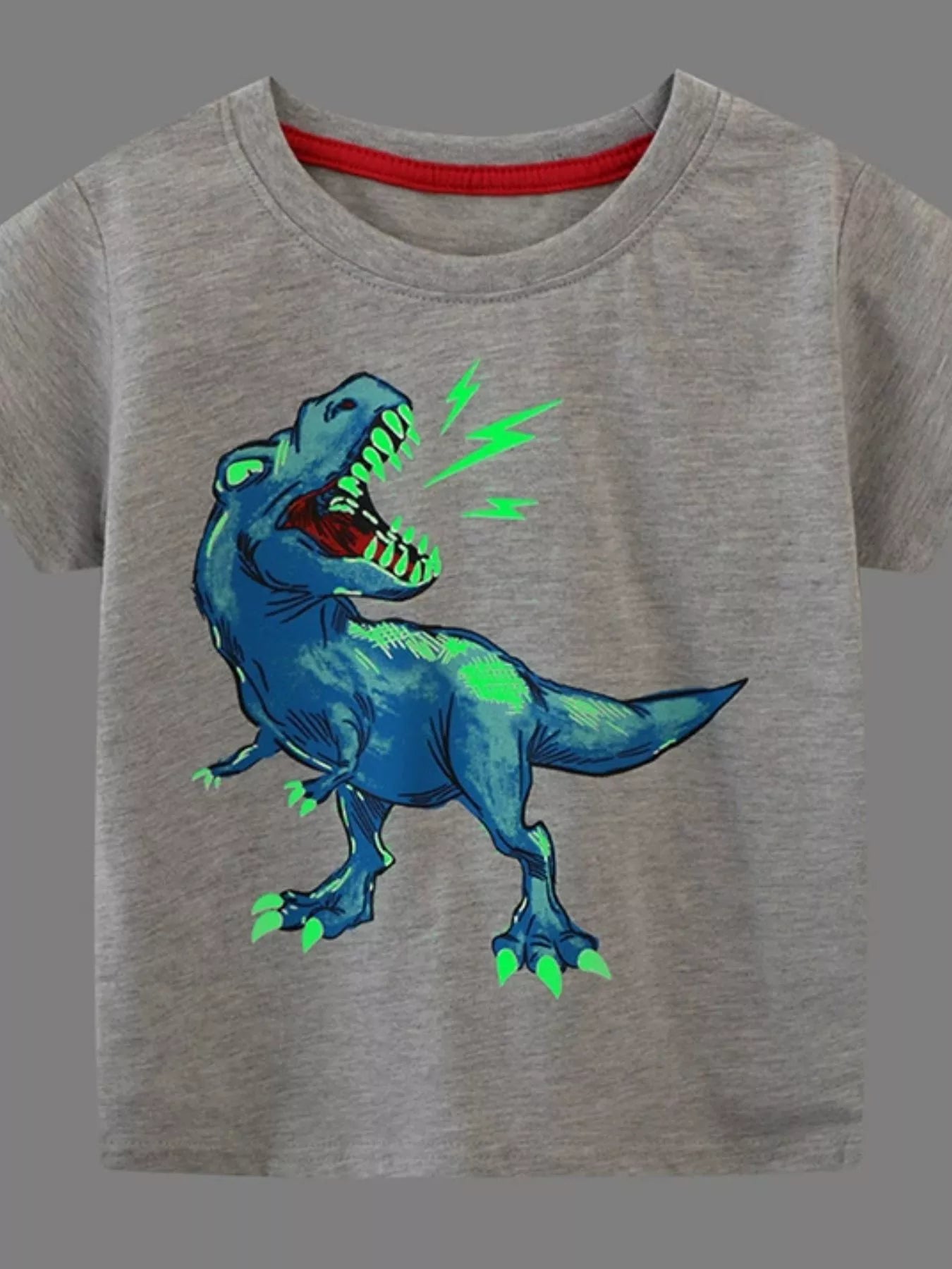 Children's Dinosaur Graphic Short Sleeve T-Shirt - Farnelli