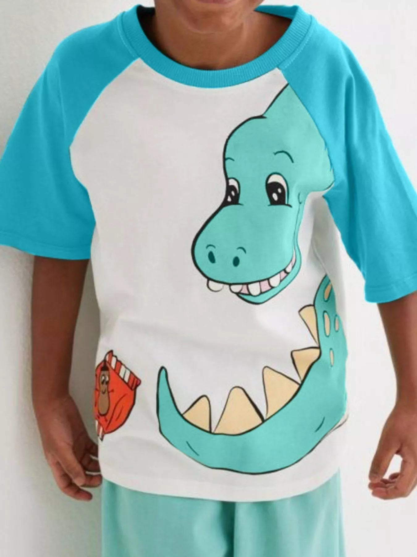 Children's Dinosaur Raglan Sleeve T-Shirt - Farnelli