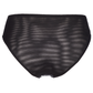 Axami Shimmer Sheer Bikini Panty-3
