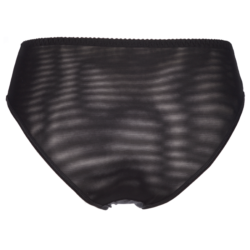 Axami Shimmer Sheer Bikini Panty-3