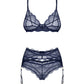 Obsessive Nightly Blue Sheer Bra Thong Garter Belt Set-4