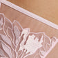 Sheer Mesh Thong Panty Gorteks Coco Pink-4