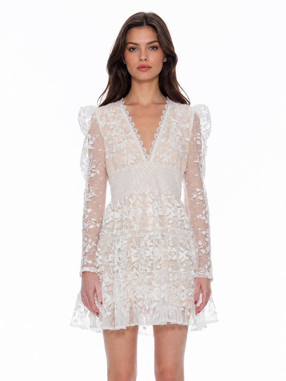 Gracia Fashion Women's Flowery Embroidered Lace V-Neck Mesh Mini Dress