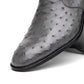 Giorgio Serpentine Gray