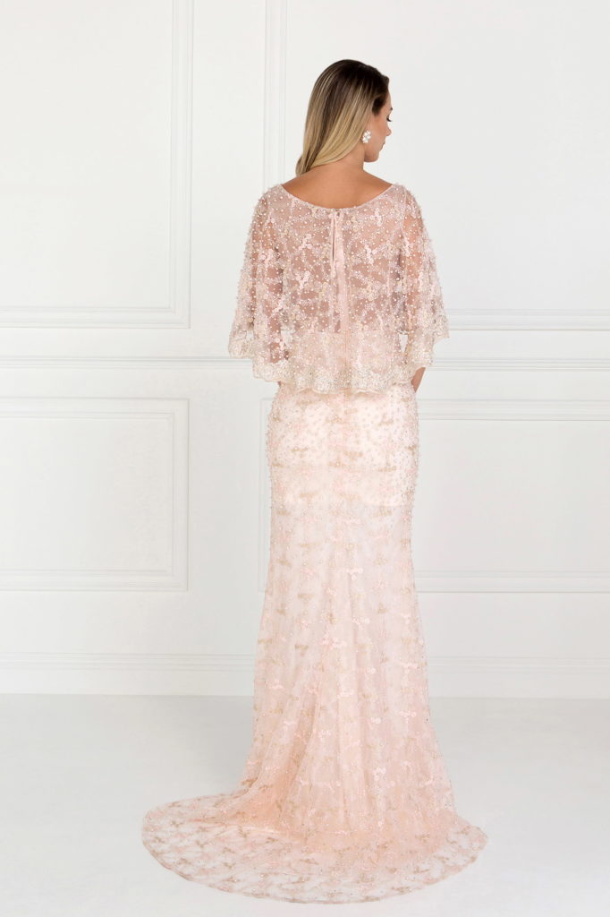 Mesh Mermaid Long Dress with Embroidered Cape Sleeves - Farnelli