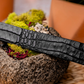 Riccardo Belt Black