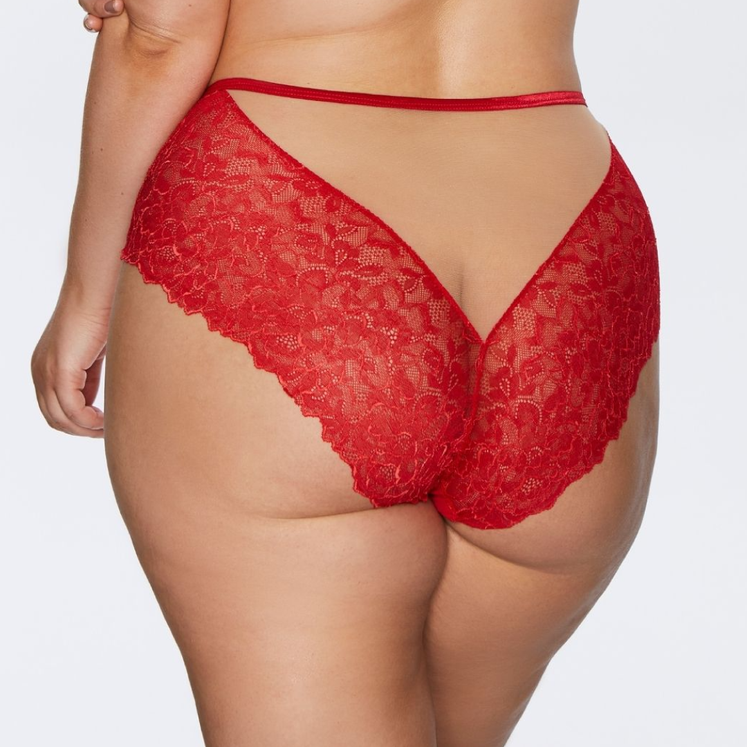 Kinga Mind Love Soft Lace High Waist Brief Panty-1