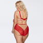 Kinga Mind Love Soft Lace High Waist Brief Panty-3
