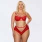 Kinga Mind Love Soft Lace High Waist Brief Panty-2