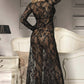 Long Lace V Neck Gown