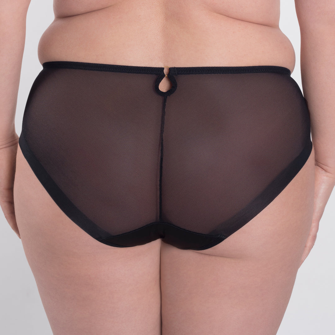 Samanta Perla Black Sheer Mesh Tulle Embroidered Brief Panty-1