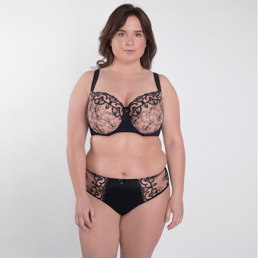 Samanta Perla Black Sheer Mesh Tulle Embroidered Brief Panty-4