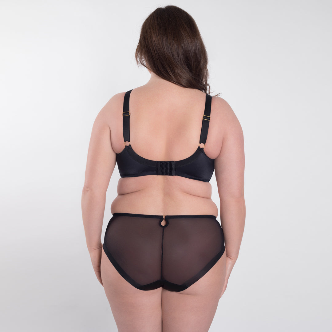 Samanta Perla Black Sheer Mesh Tulle Embroidered Brief Panty-3