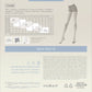 Tights Conte Solo 70 Den - Reinforced Torso