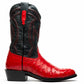 Savannah Red