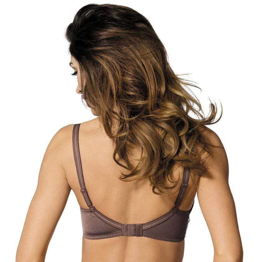 Gorteks Pamela Mocha Sheer Mesh Balconette Bra-2