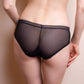 Lavinia Sofia Sheer Lace Bikini Panty-1